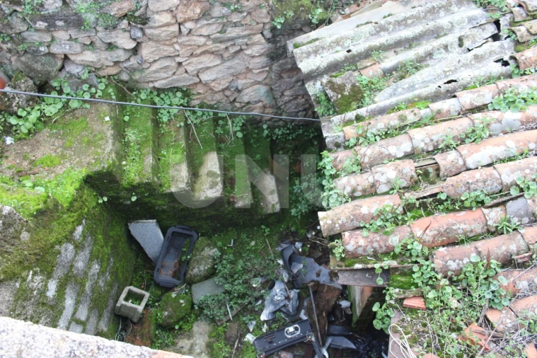 Terreno para Venda em Escalos de Cima e Lousa Foto 5