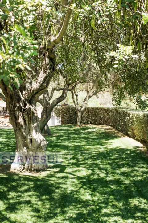 Moradia T5 para Venda em Silves