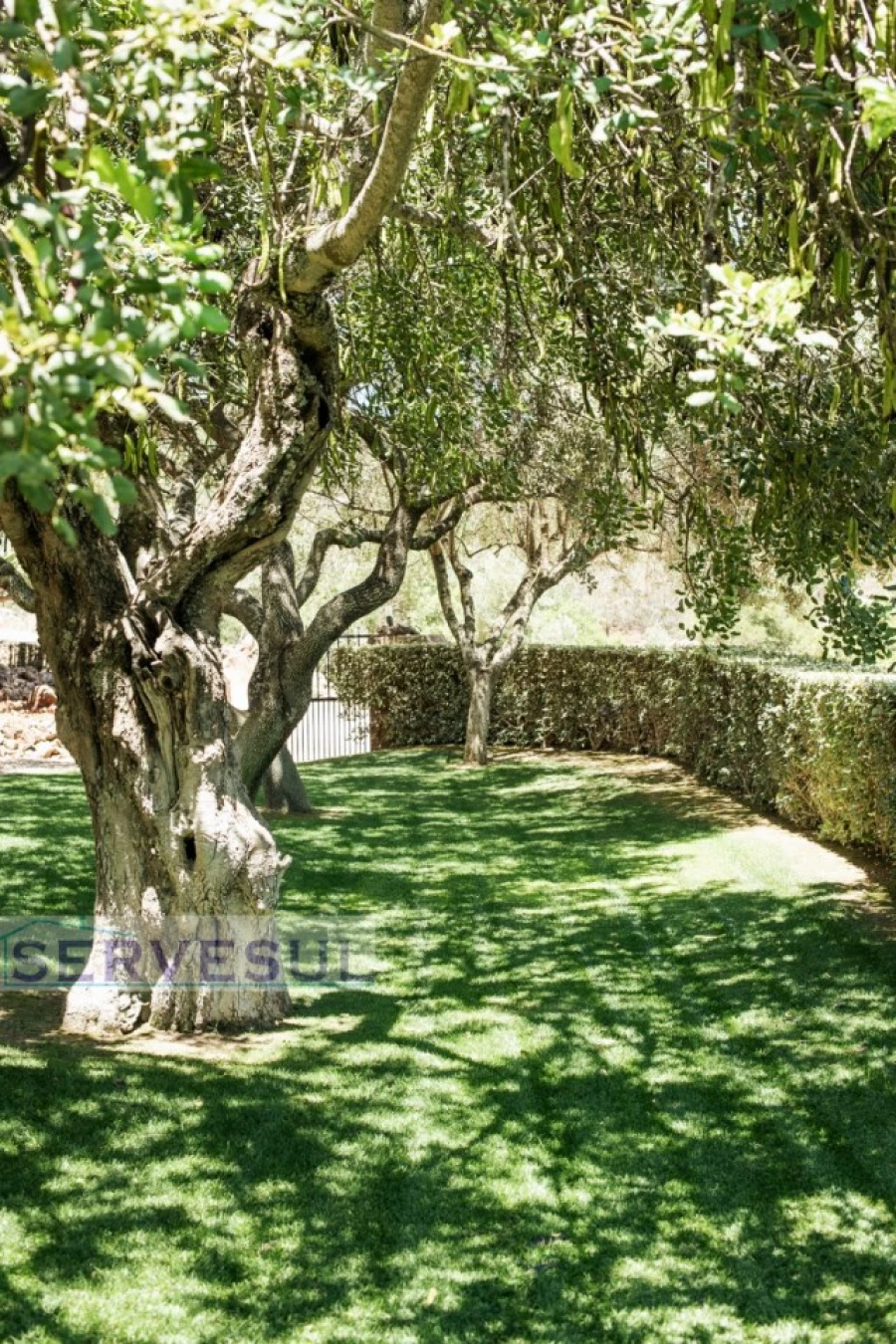 Moradia T5 para Venda em Silves Foto 29