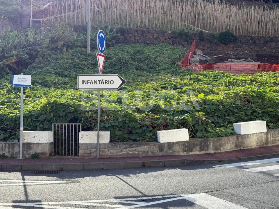 Terreno para Venda em Camara de Lobos Foto 3
