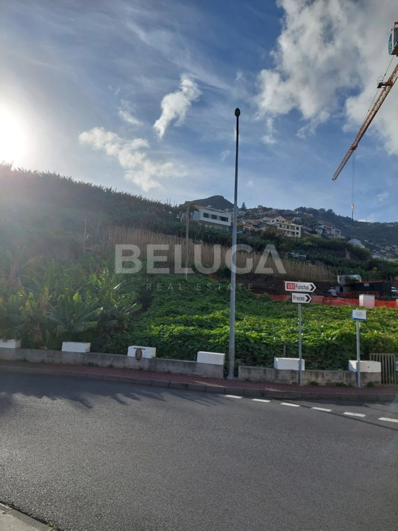 Terreno para Venda em Camara de Lobos Foto 4