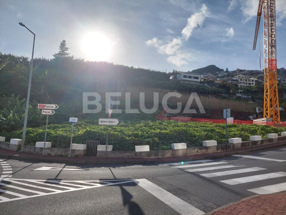 Terreno para Venda em Camara de Lobos Foto 5