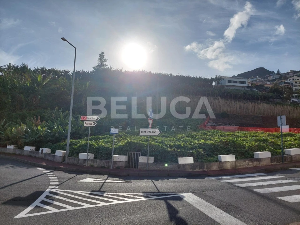Terreno para Venda em Camara de Lobos Foto 6