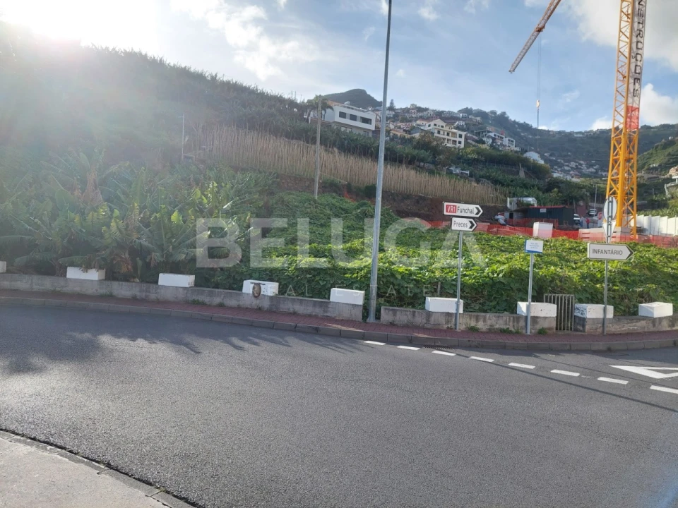 Terreno para Venda em Camara de Lobos Foto 7