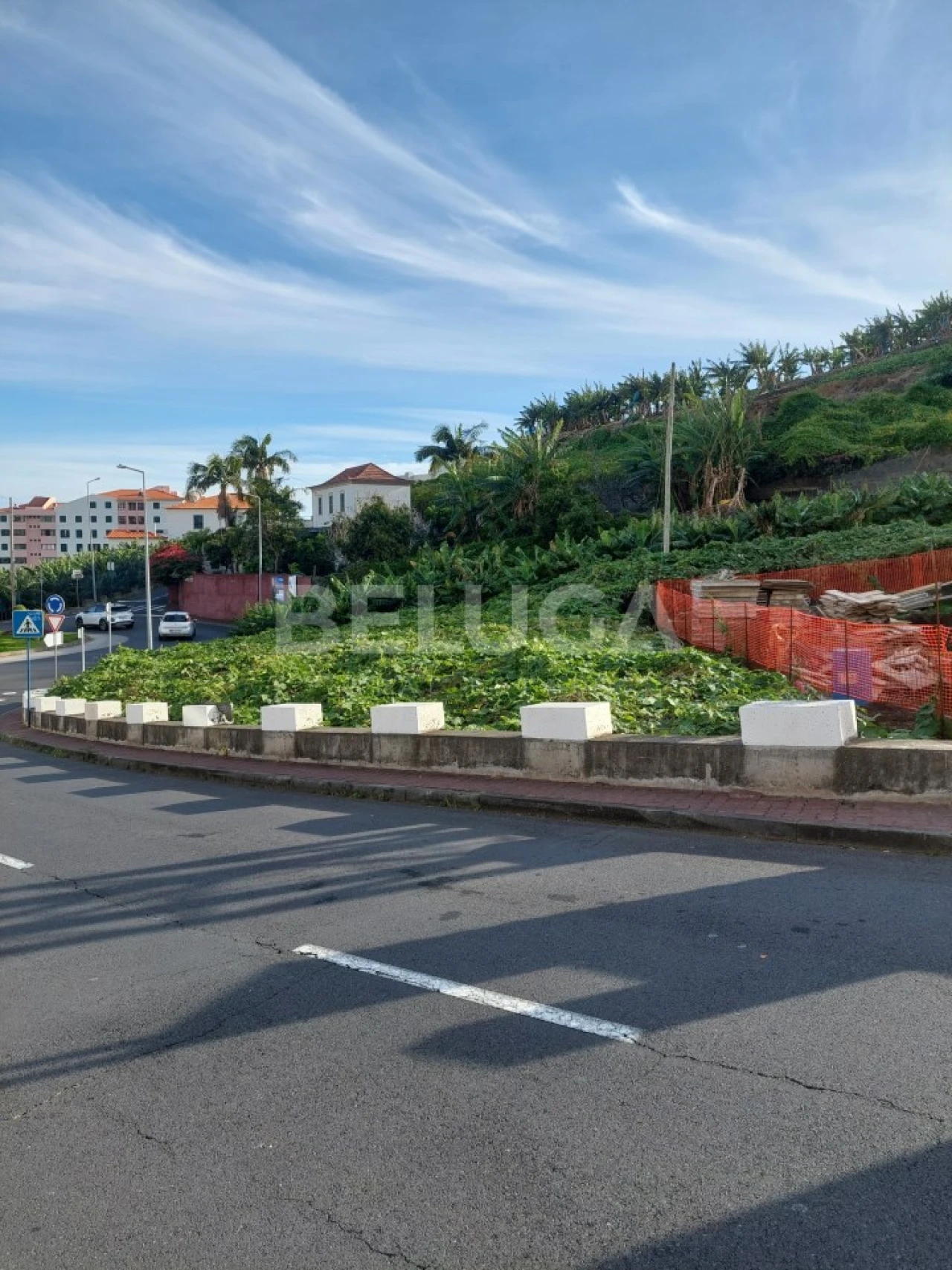 Terreno para Venda em Camara de Lobos Foto 10