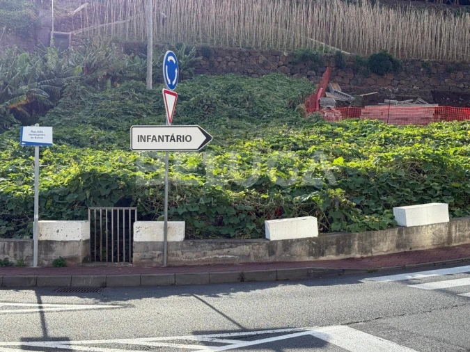 Terreno para Venda em Camara de Lobos Foto 3