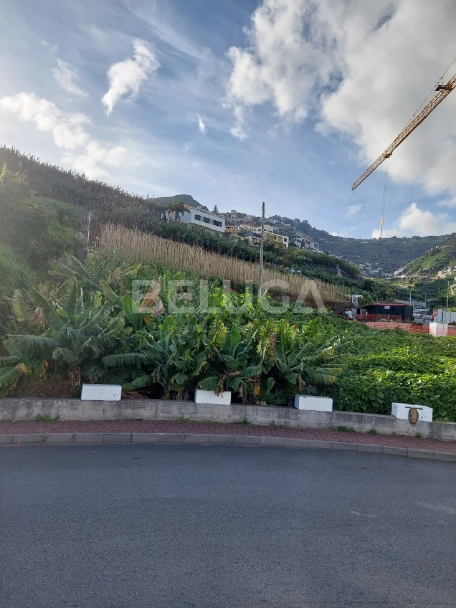 Terreno para Venda em Camara de Lobos Foto 9