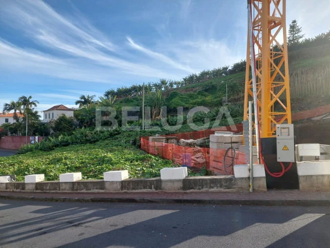 Terreno para Venda em Camara de Lobos Foto 11