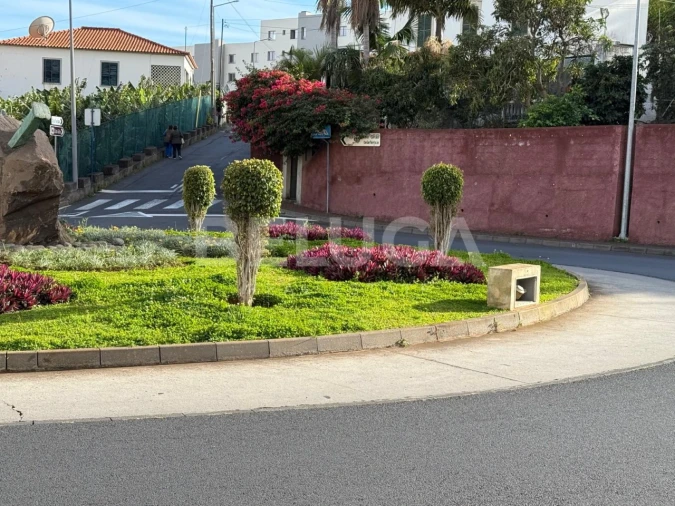 Terreno para Venda em Camara de Lobos Foto 13