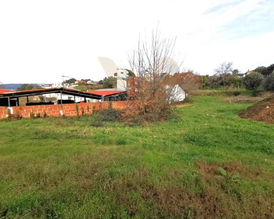 Terreno para Venda em Arca e Ponte de Lima Foto 4