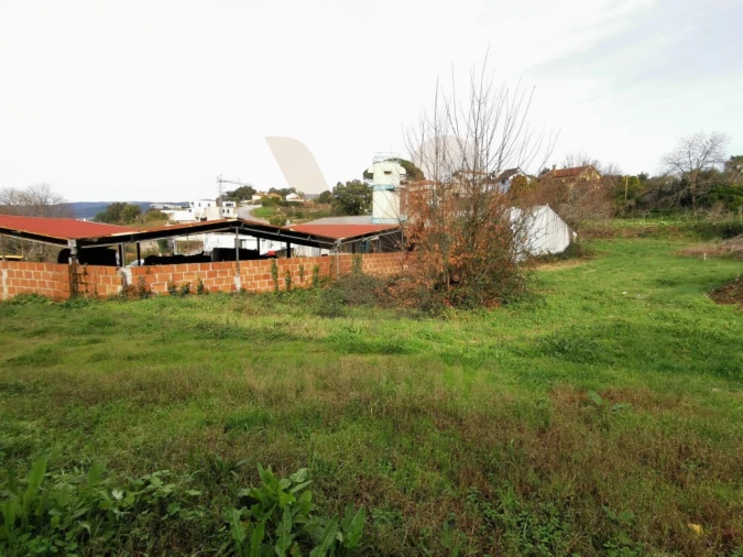 Terreno para Venda em Arca e Ponte de Lima Foto 5