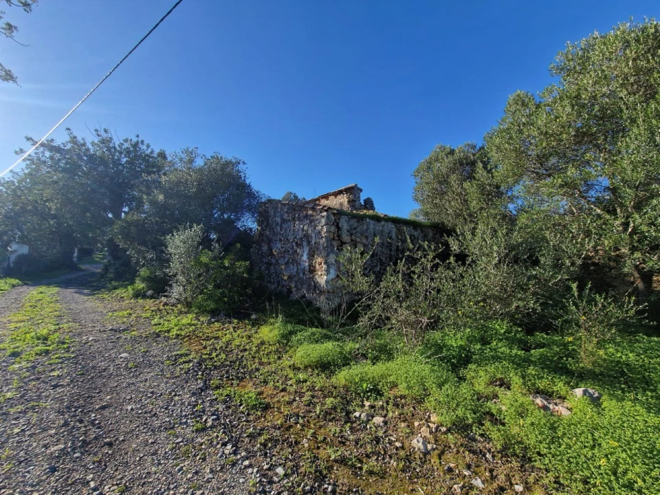 Moradia T4 para Venda em Santa Catarina da Fonte do Bispo Foto 5