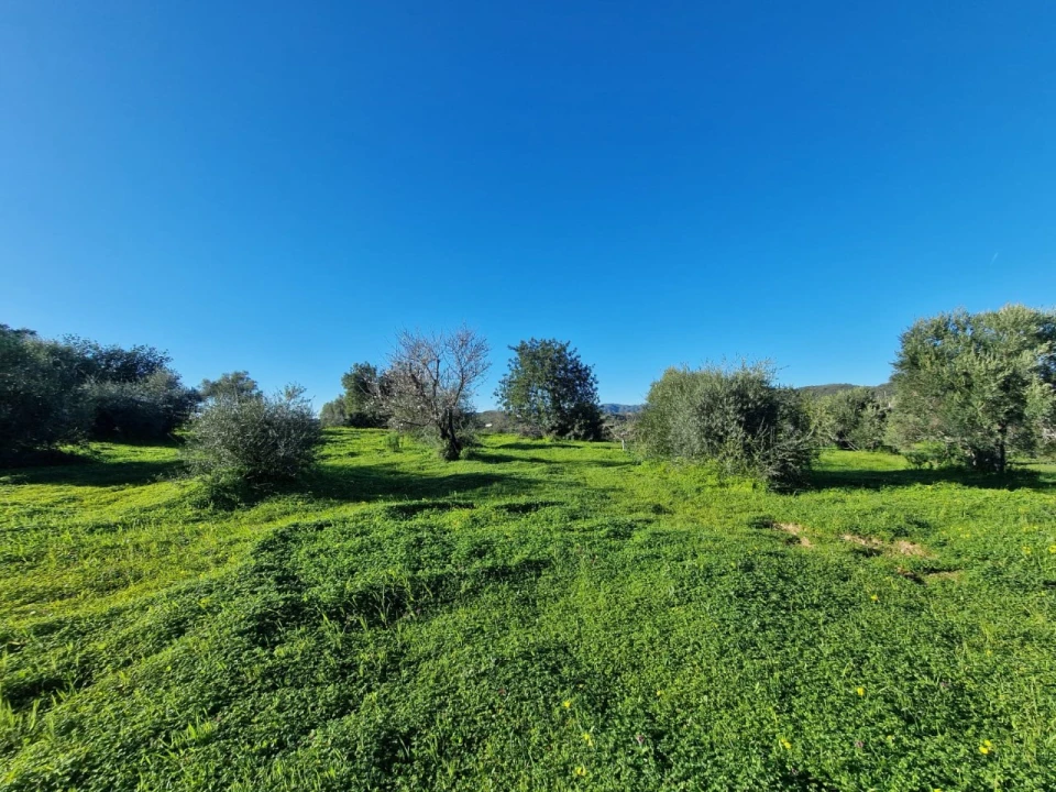 Moradia T4 para Venda em Santa Catarina da Fonte do Bispo Foto 6