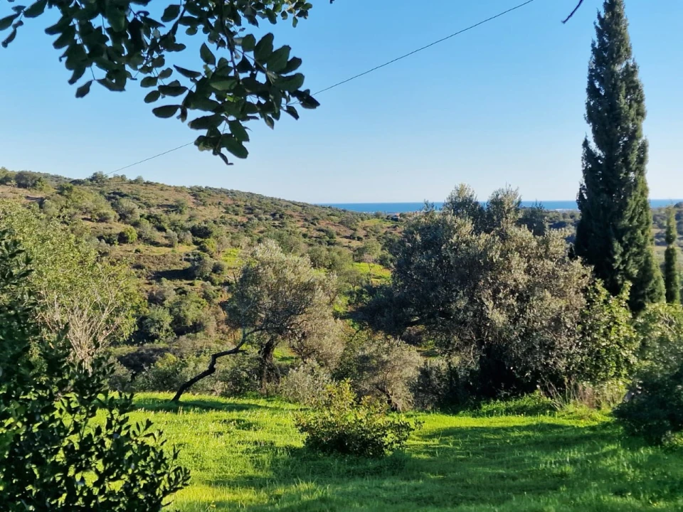 Moradia T4 para Venda em Santa Catarina da Fonte do Bispo Foto 7