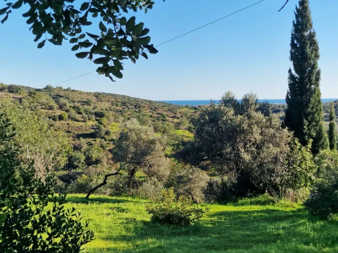 Moradia T4 para Venda em Santa Catarina da Fonte do Bispo Foto 7