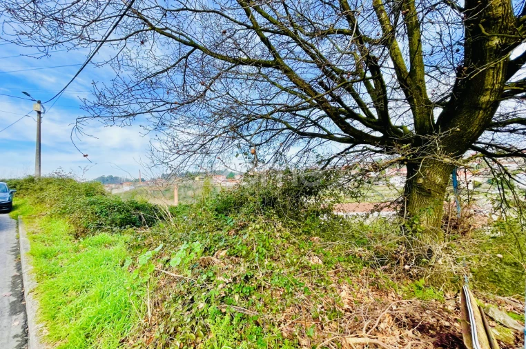 Terreno para Venda em Vila das Aves Foto 3