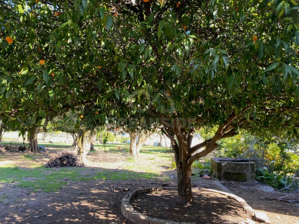 Moradia T10 para Venda em Soalheira Foto 5