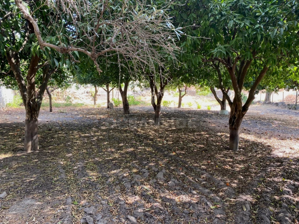 Moradia T10 para Venda em Soalheira Foto 12