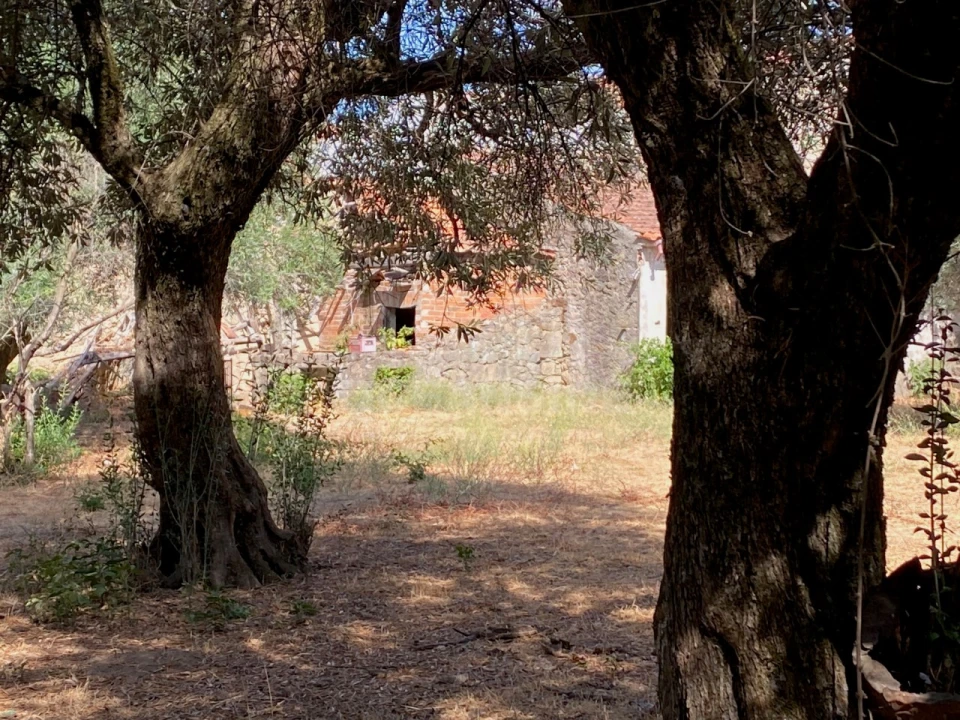 Moradia T10 para Venda em Soalheira Foto 14