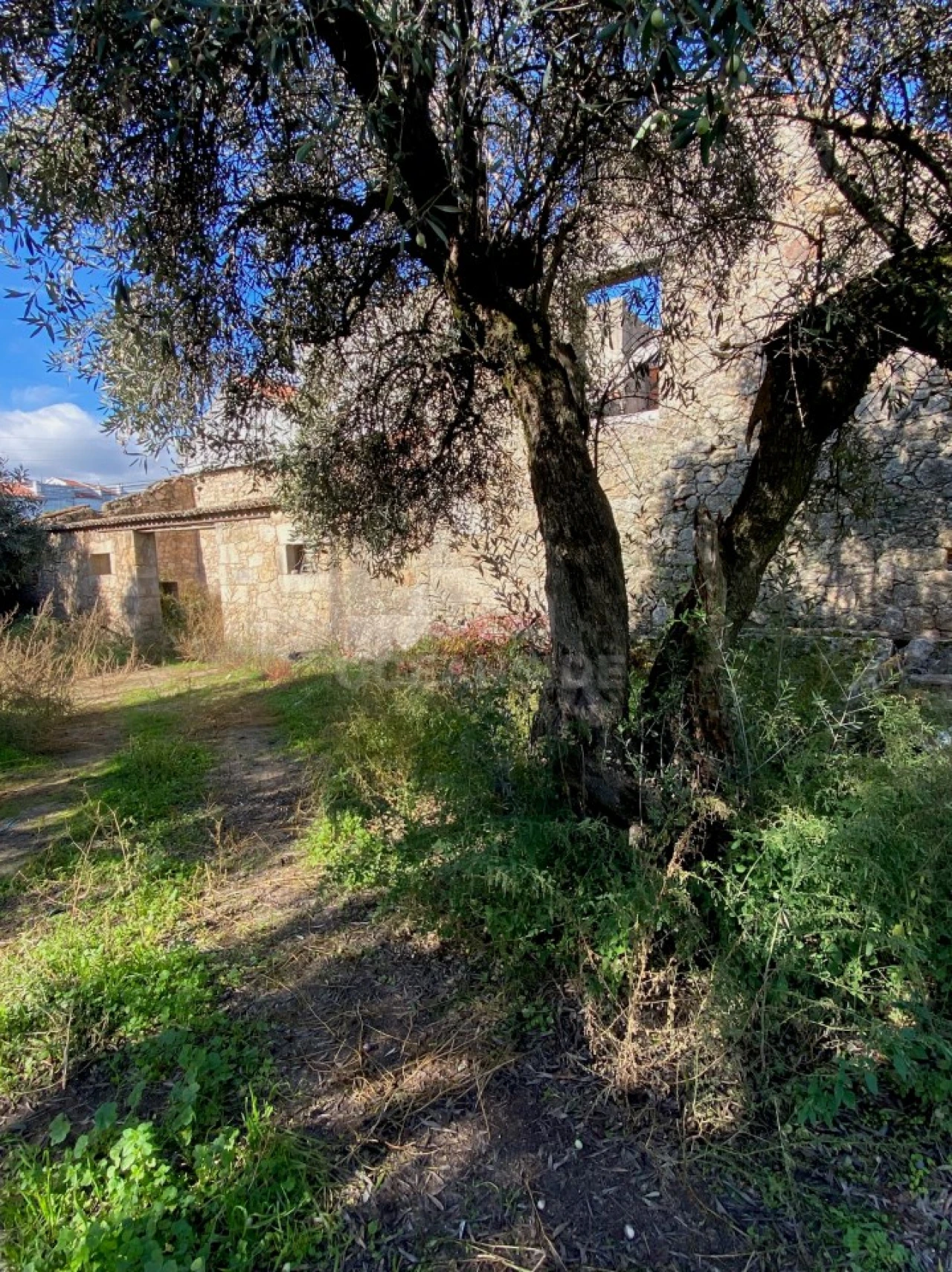 Moradia T10 para Venda em Soalheira Foto 17