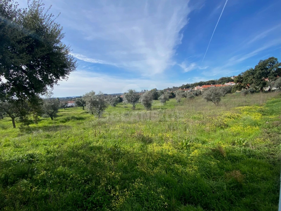 Moradia T10 para Venda em Soalheira Foto 24