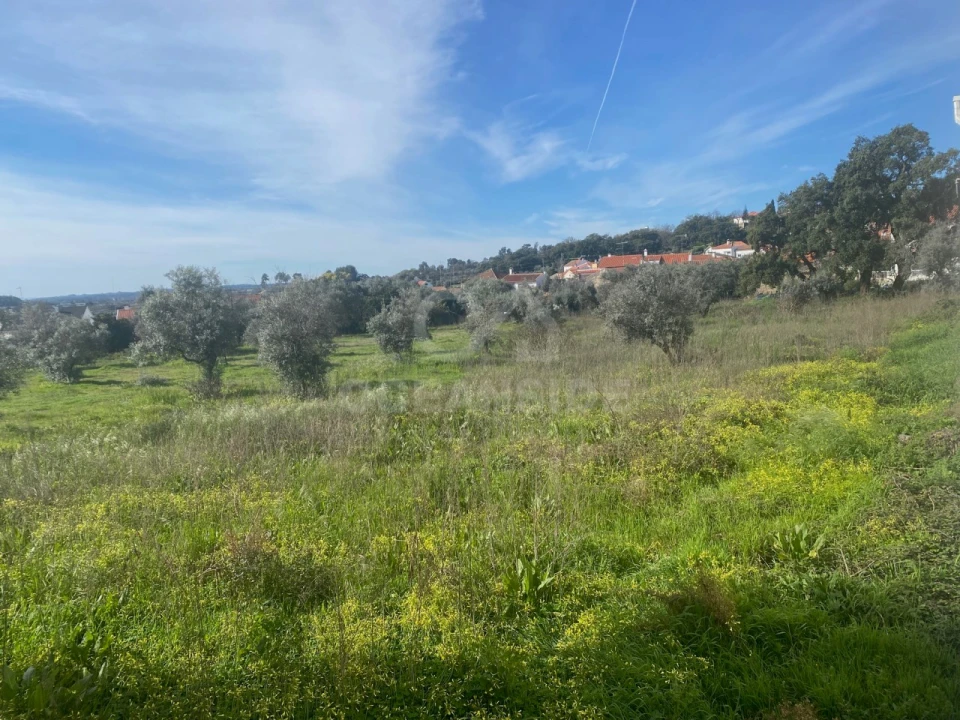 Moradia T10 para Venda em Soalheira Foto 25