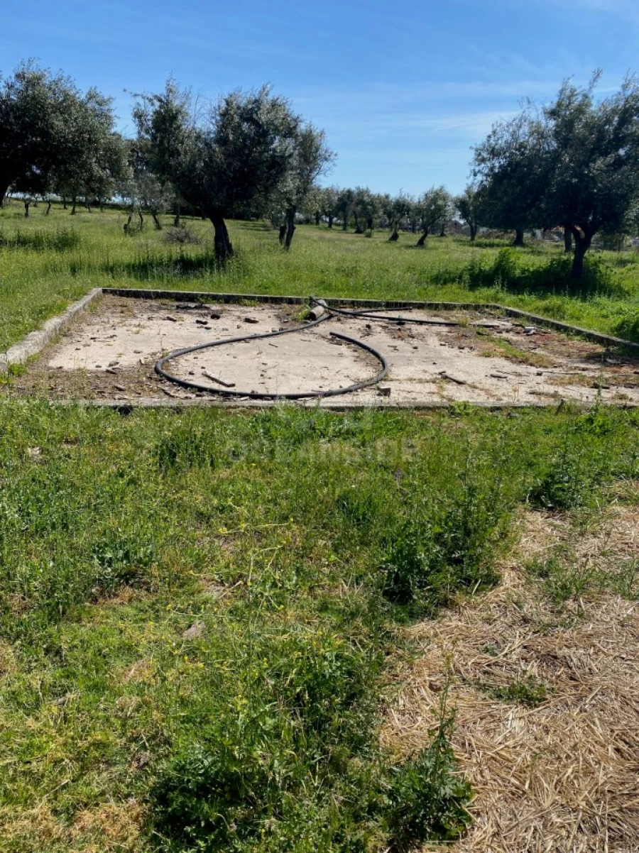 Moradia T10 para Venda em Soalheira Foto 15