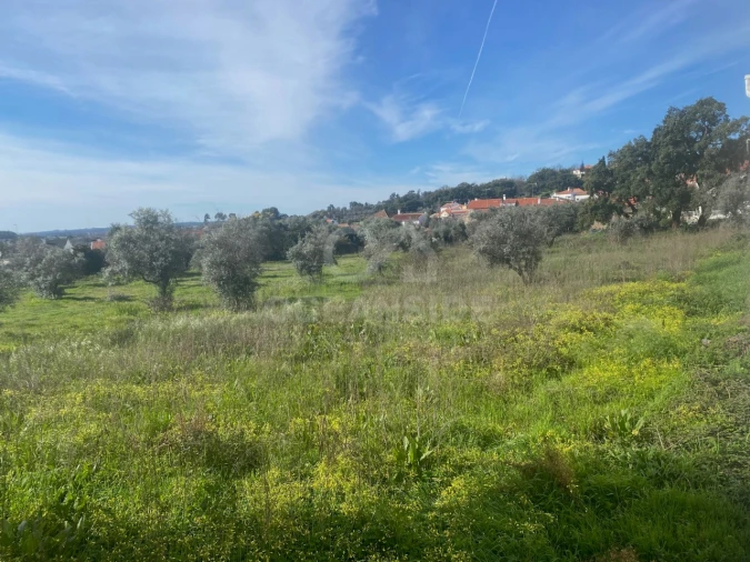 Moradia T10 para Venda em Soalheira Foto 25