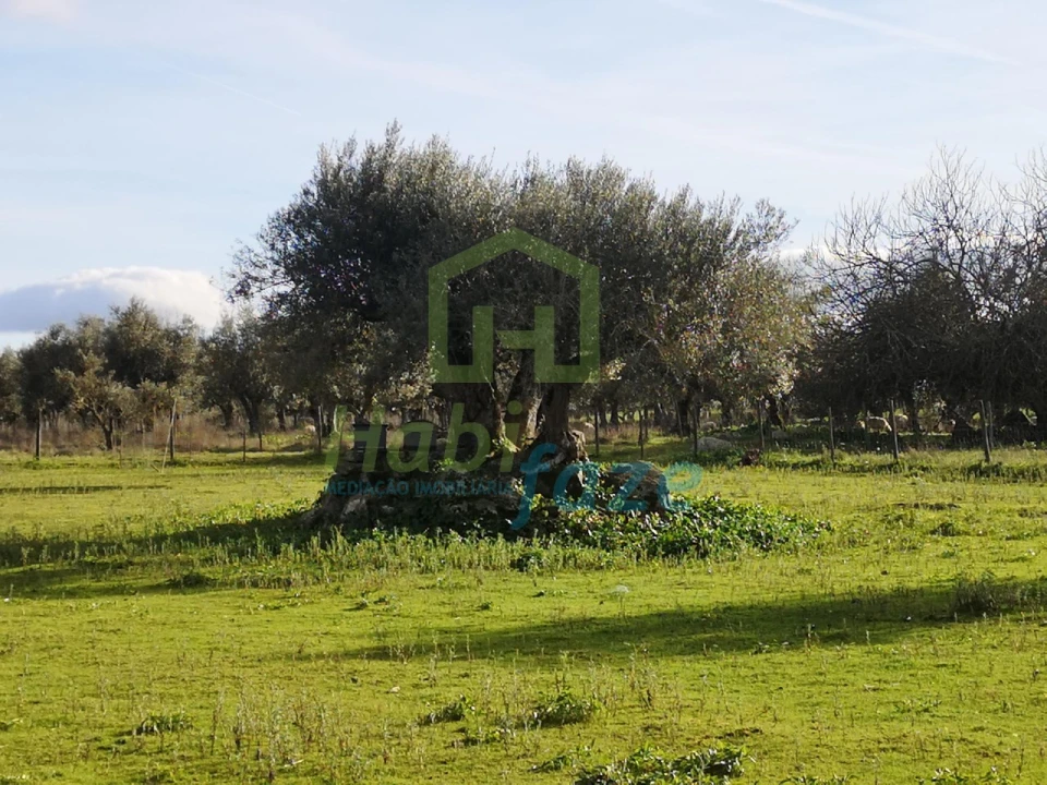 Quinta T3 para Venda em São Bento do Mato Foto 11