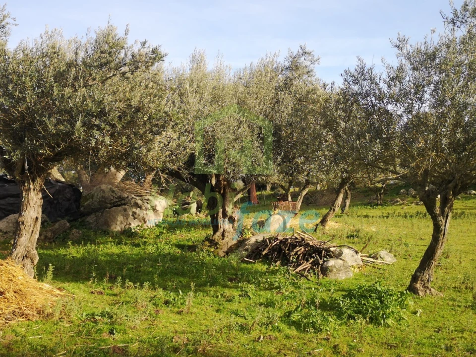 Quinta T3 para Venda em São Bento do Mato Foto 12