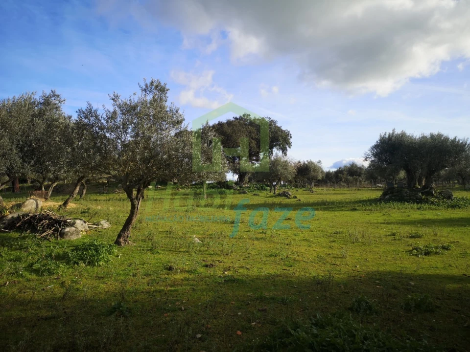 Quinta T3 para Venda em São Bento do Mato Foto 13