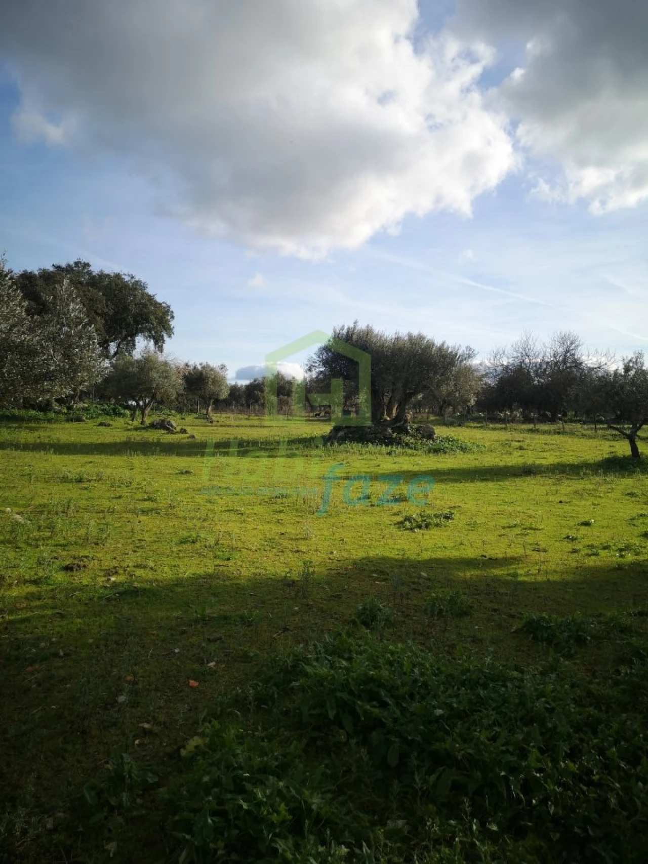 Quinta T3 para Venda em São Bento do Mato Foto 14