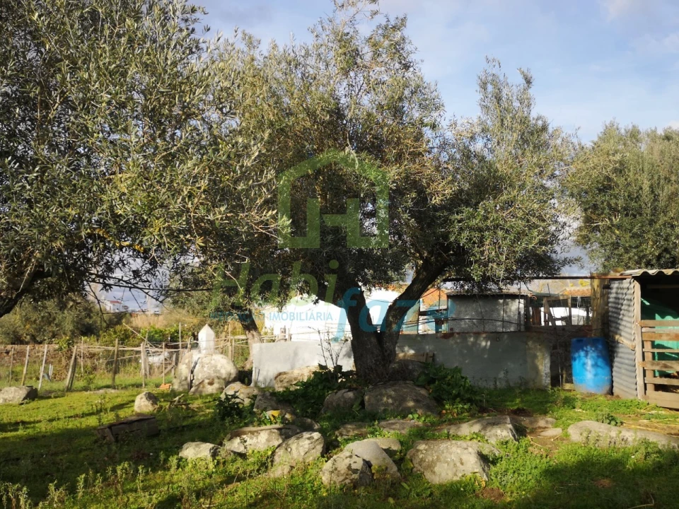 Quinta T3 para Venda em São Bento do Mato Foto 18