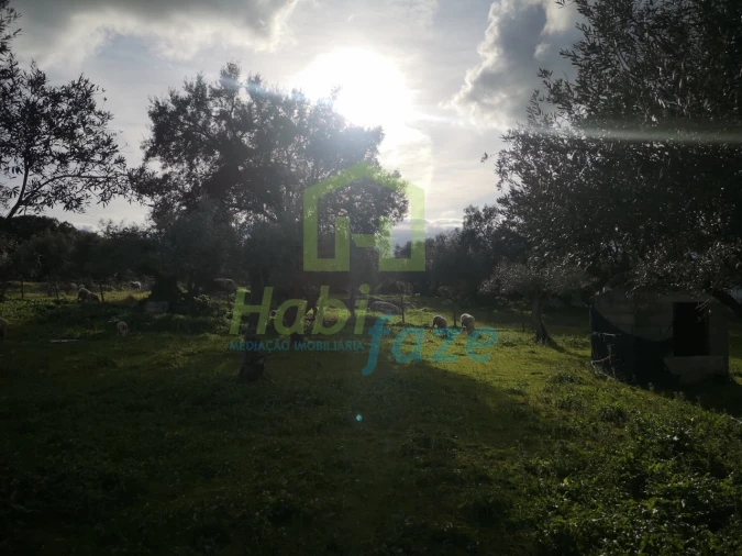 Quinta T3 para Venda em São Bento do Mato Foto 16