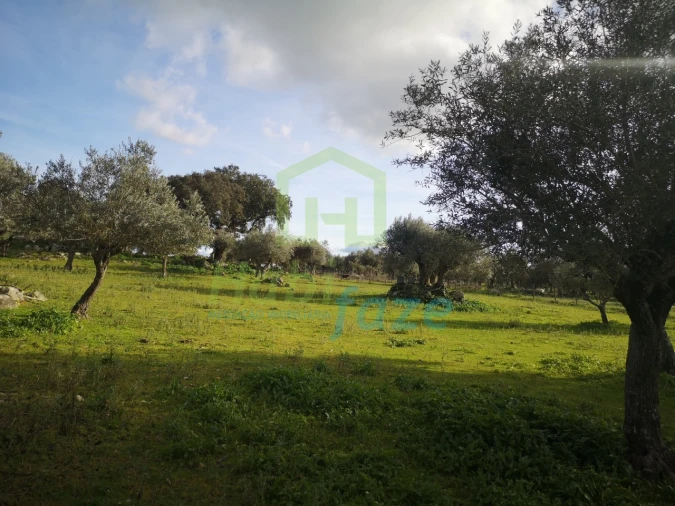 Quinta T3 para Venda em São Bento do Mato Foto 17