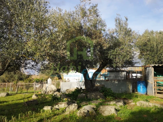 Quinta T3 para Venda em São Bento do Mato Foto 18