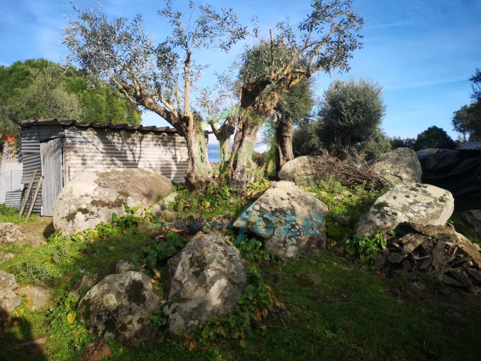 Quinta T3 para Venda em São Bento do Mato Foto 20