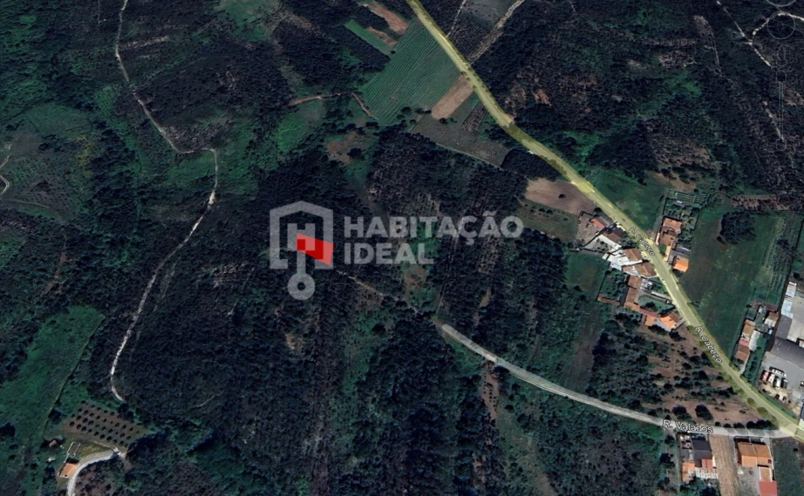 Terreno Agricola ou Rústico para Venda em Bustos, Troviscal e Mamarrosa Foto 7