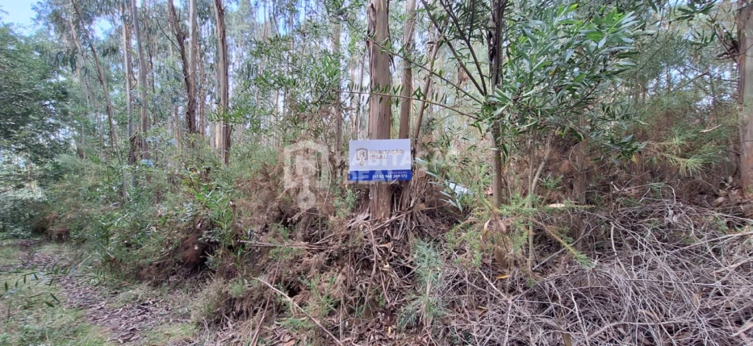 Terreno Agricola ou Rústico para Venda em Bustos, Troviscal e Mamarrosa