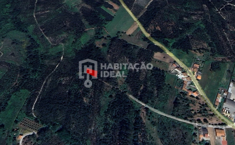 Terreno Agricola ou Rústico para Venda em Bustos, Troviscal e Mamarrosa Foto 7