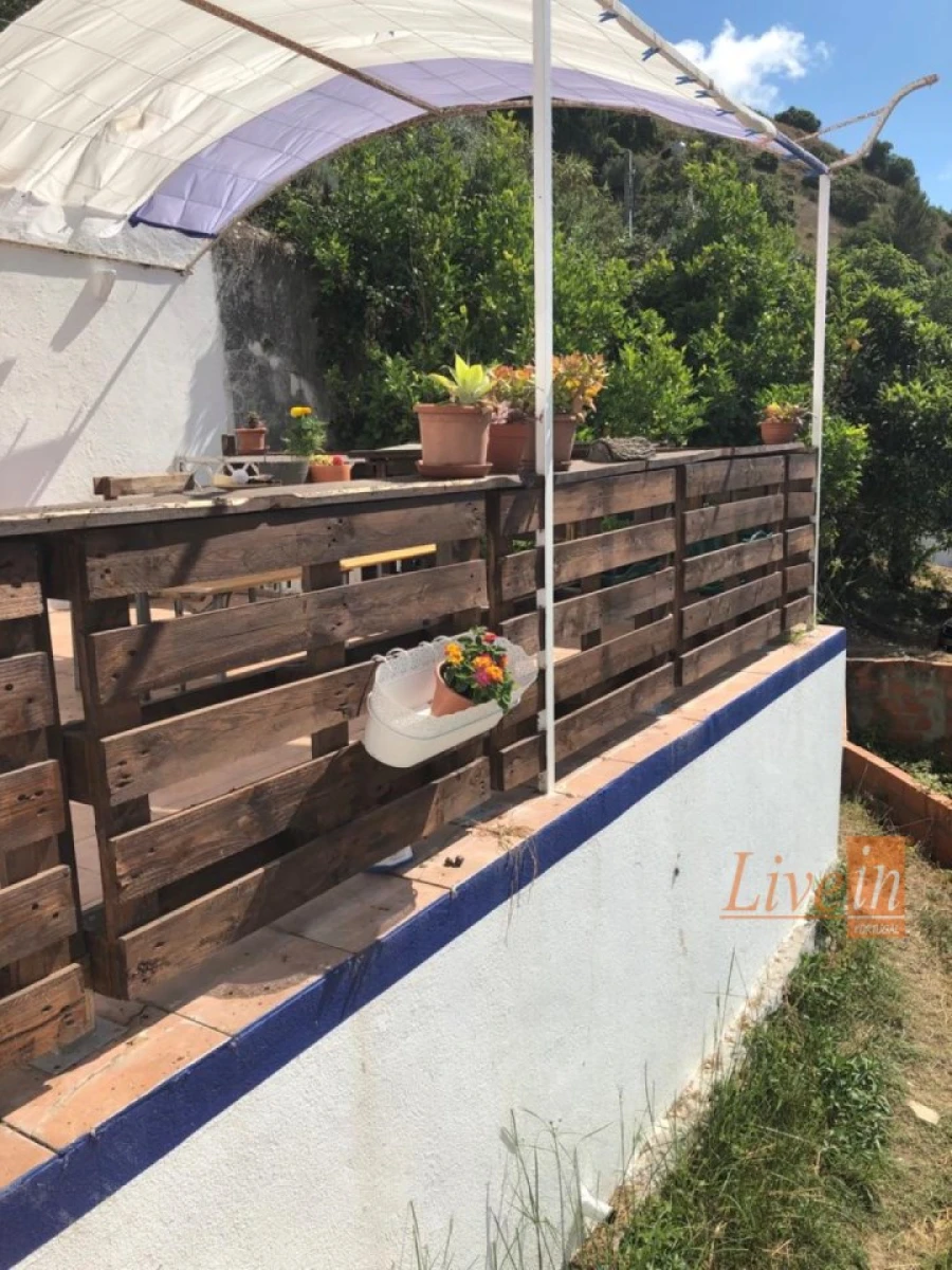 Quinta T4 para Venda em Ribafria e Pereiro de Palhacana Foto 9