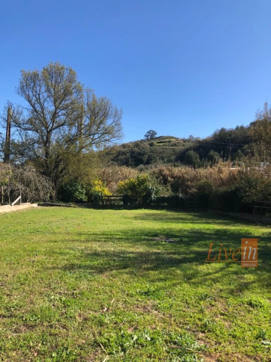 Quinta T4 para Venda em Ribafria e Pereiro de Palhacana Foto 14