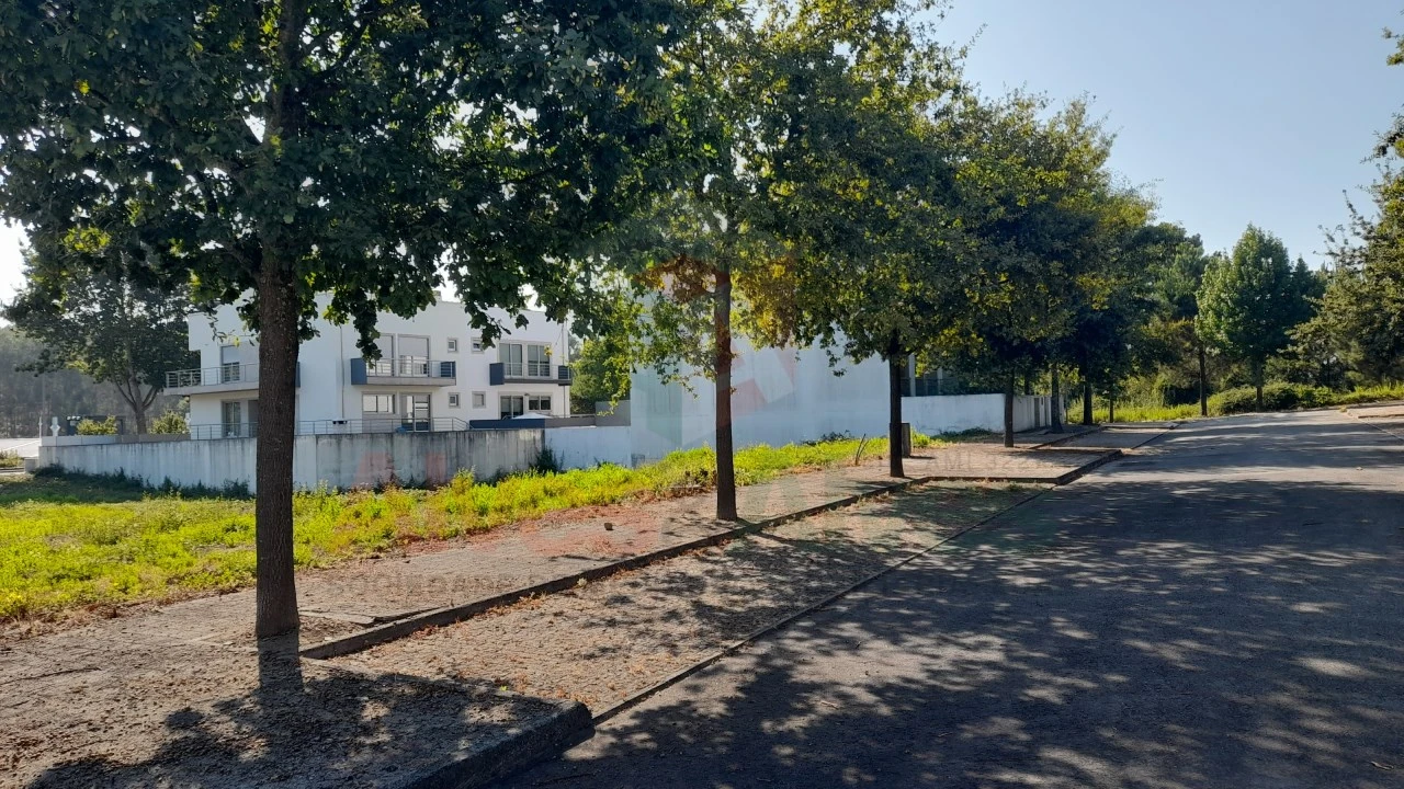 Terreno para Venda em Folgosa Foto 8