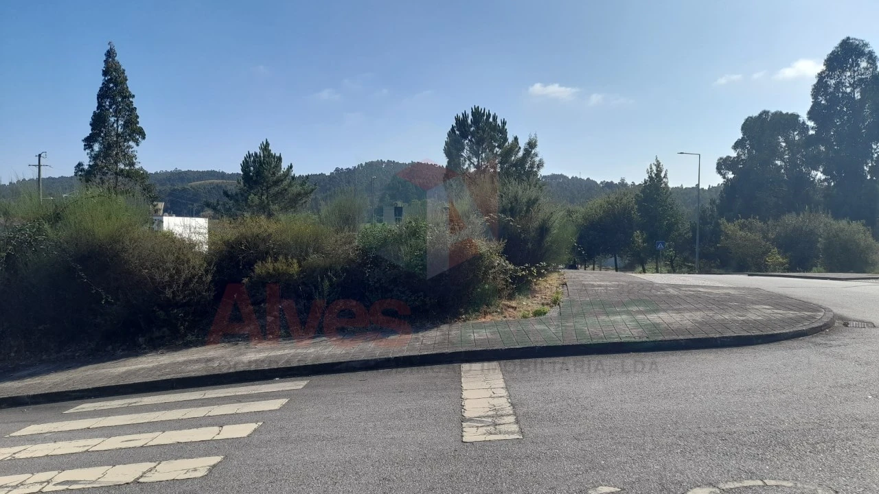 Terreno para Venda em Folgosa Foto 5