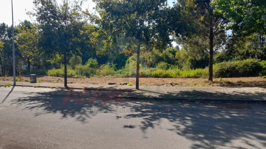 Terreno para Venda em Folgosa Foto 2