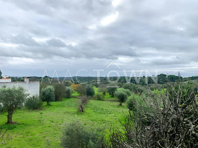 Moradia T4 para Venda em Assentiz Foto 11