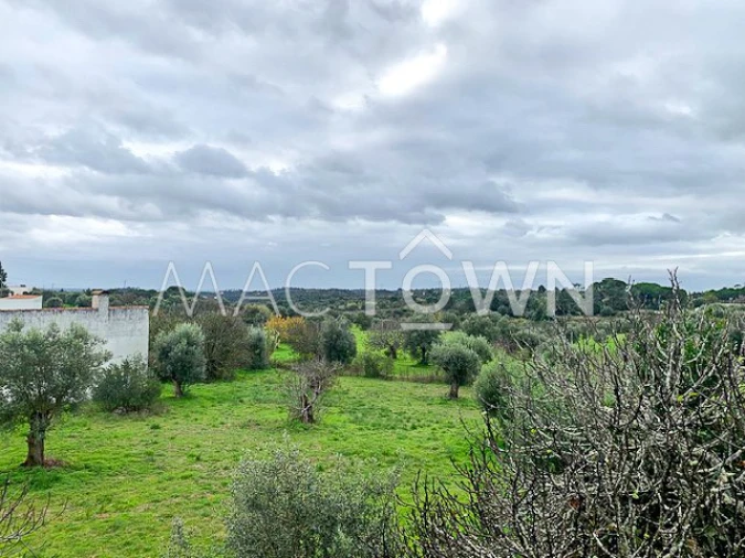 Moradia T4 para Venda em Assentiz Foto 41