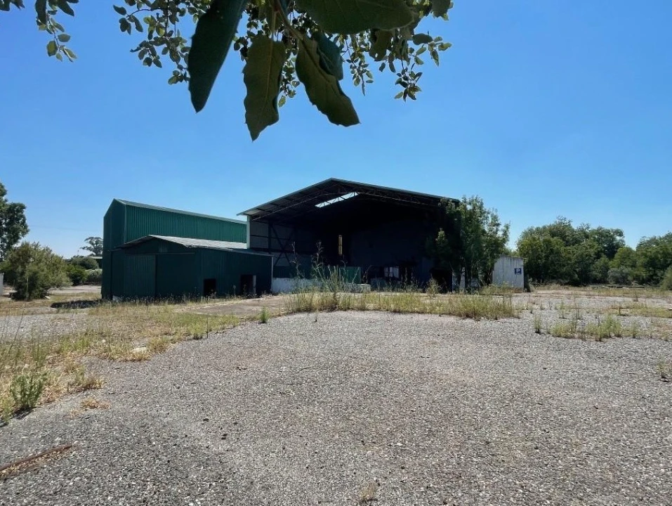 Armazém para Venda em Crato e Mártires, Flor da Rosa e Vale do Peso Foto 2