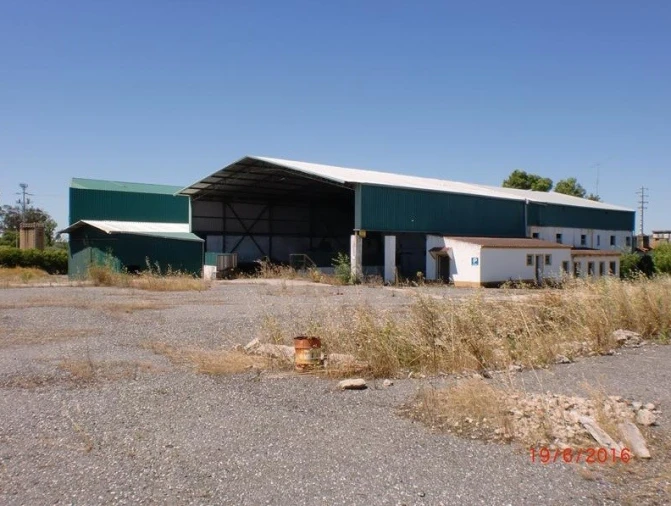 Armazém para Venda em Crato e Mártires, Flor da Rosa e Vale do Peso Foto 1