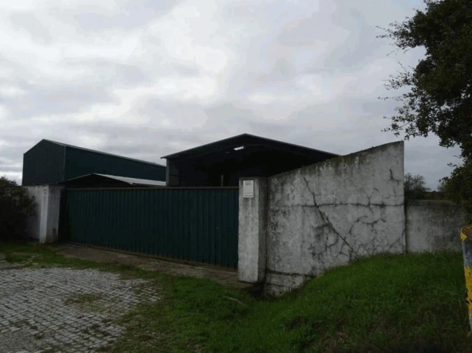 Armazém para Venda em Crato e Mártires, Flor da Rosa e Vale do Peso Foto 11